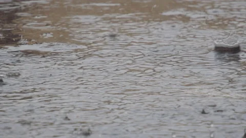 Raindrops Stock Footage 154667694