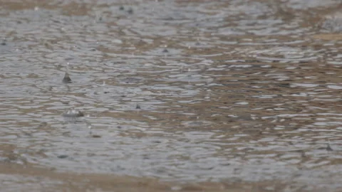 Raindrops Stock Footage 154667884