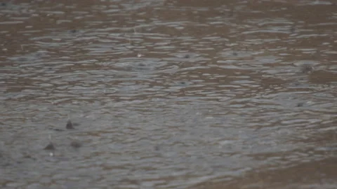 Raindrops Stock Footage 154667971