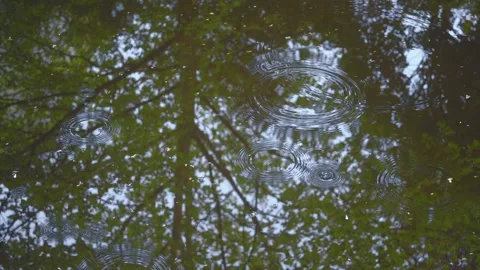 Raindrops Stock Footage 164490496