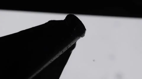 Raindrops Stock Footage 171909674