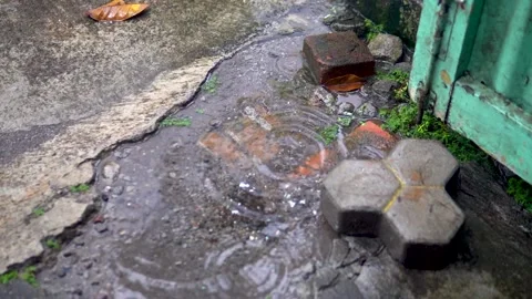 Raindrops Video stock 213104710