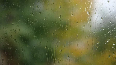 Raindrops Stock Footage 216035688
