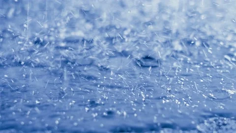 Raindrops Stock Footage 217497544