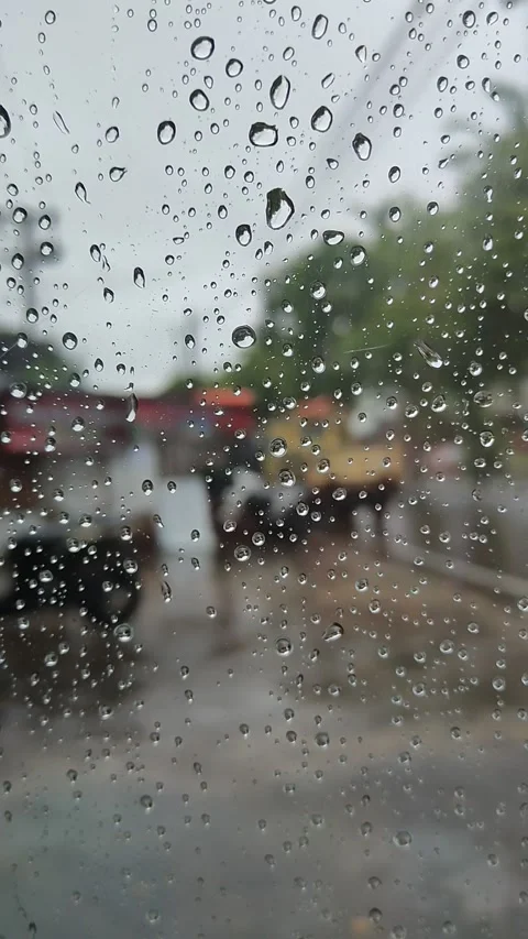 Raindrops Stock Footage 219344278