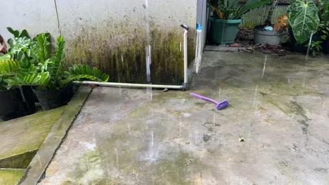 Raindrops 库存影片 219516372