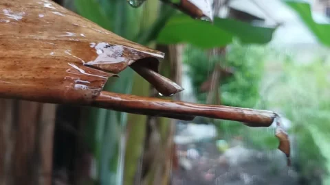 Raindrops Stock Footage 234375880