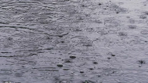 Raindrops Stock Footage 237370825
