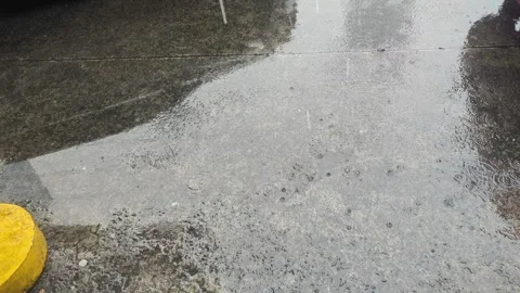 Raindrops 動画素材 251767519