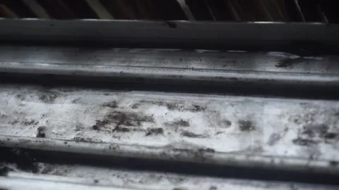 Raindrops Stock Footage 251892794