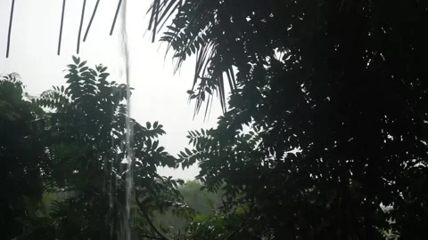 Raindrops Stock Footage 251892795