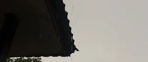 Raindrops Stock Footage 269517191