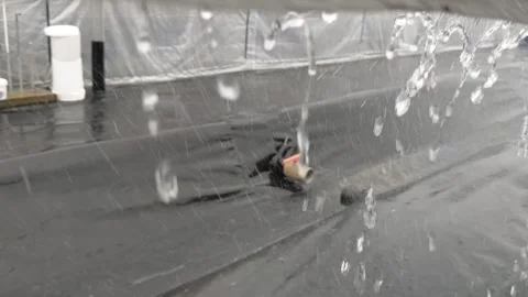 Raindrops Stock Footage 282067386