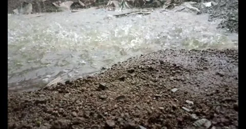 Raindrops Stock Footage 290168176