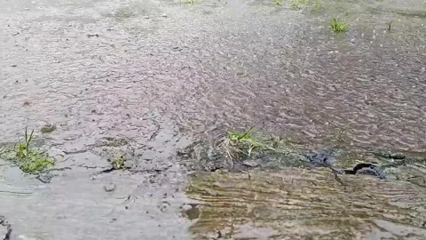 Raindrops Video stock 303186077