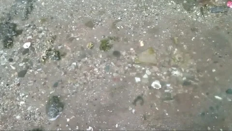 Raindrops Stock Footage 305195889