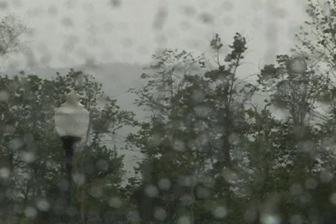 Raindrops in the Foreground Stock Footage 138978