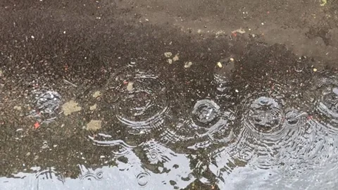 Raindrops forming ripples on muddy puddle surface Stock Footage 320866871