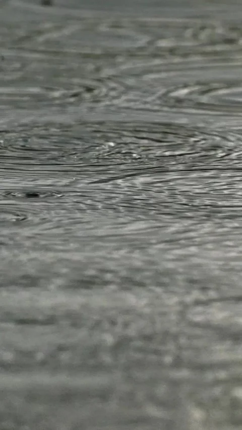 Raindrops Forming Subtle Patterns on a Calm Water Surface Stock Footage 335197902