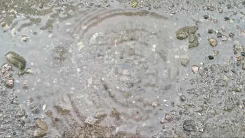 Raindrops in front of the window Stock Footage 305195856