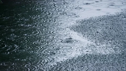 Raindrops gently falling on the water surface, creating intricate and beautiful Stock Footage 314990411