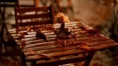 Raindrops gently hit a wooden table surrounded by colorful autumn leaves. A Stock Footage 318825885
