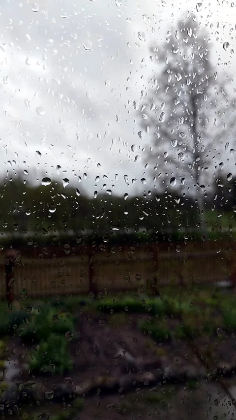 Raindrops on the glass (5) Full HD 60 FPS Stock-Footage 273750125