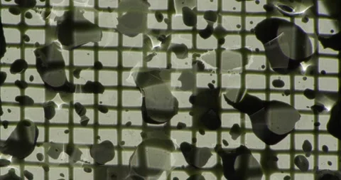 Raindrops on the glass. Background Stock-Footage 204145504