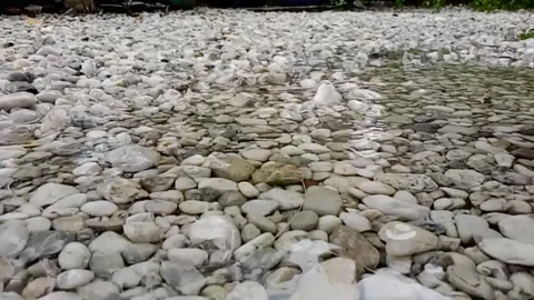 Raindrops on the gravel Video stock 294499690