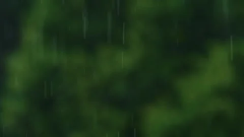 Raindrops on a green background Stock Footage 140233236