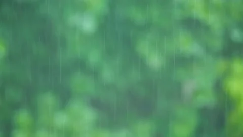 Raindrops on a green background. hand-held shooting Stock Footage 162410384