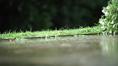 Raindrops, green lawn in the background. 스톡 동영상 53544928