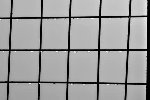 Raindrops on Grid Window Pane in Black and White Stock Photos
