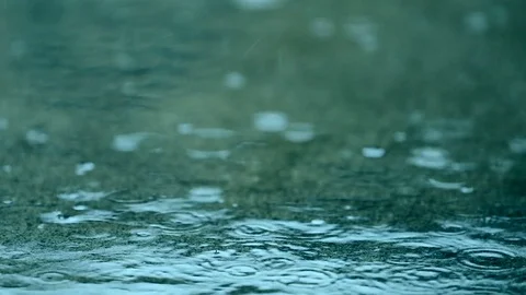Raindrops on the Ground Stock Footage 70291083