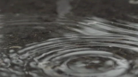 Raindrops HD Stock Footage 521866