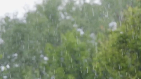 Raindrops of heavy rain in slow motion. Rainfall against the backdrop of green Stock Footage 262534004