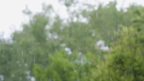 Raindrops of heavy rain in slow motion. Rainfall against the backdrop of green Stock-Footage 262770653