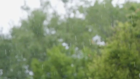Raindrops of heavy rain in slow motion. Rainfall against the backdrop of green Stock-Footage 262770732