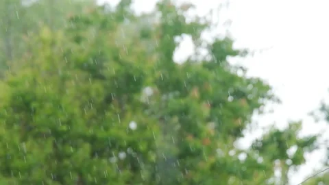 Raindrops of heavy rain in slow motion. Rainfall against the backdrop of green Stock Footage 263149888