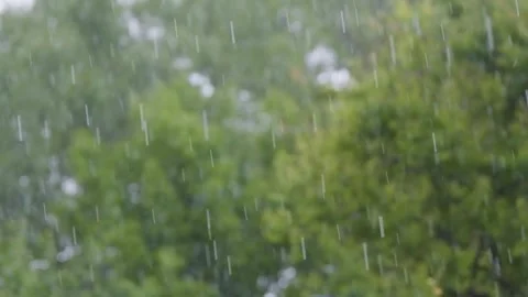 Raindrops of heavy rain in slow motion. Rainfall against the backdrop of green Stock Footage 263150007