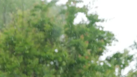 Raindrops of heavy rain in slow motion. Rainfall against the backdrop of green Stock Footage 264540860
