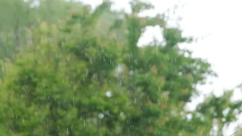 Raindrops of heavy rain in slow motion. Rainfall against the backdrop of green Stock Footage 267875067