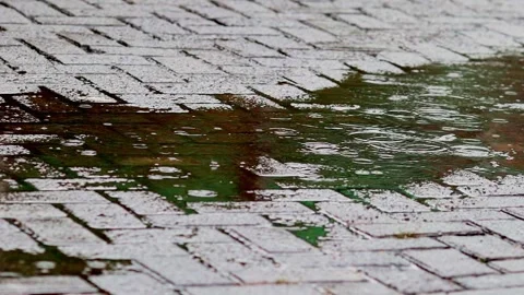 Raindrops hitting the conblock surface Stock Footage 329903163