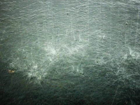 Raindrops hitting the ground Stock Photos