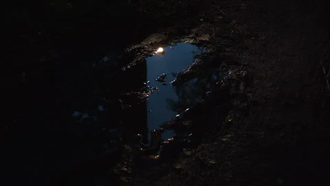 Raindrops hitting the little puddle in the dirt Stock Footage 318279156