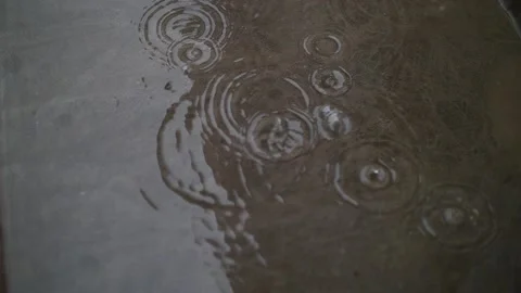 Raindrops hitting pedal in slow motion close up Stock Footage 205956247