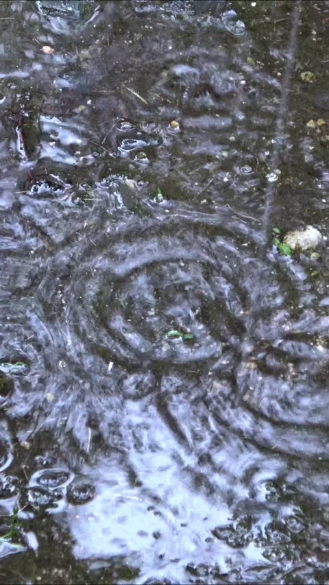 Raindrops hitting puddle and creating ripples on the ground with rain sounds. 4K Stock Footage 337805449