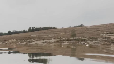 Raindrops hitting the surface of a lake. Stock Footage 331404892