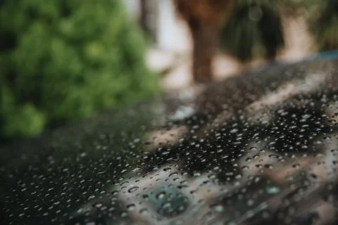 Raindrops on the hood. Stock Photos