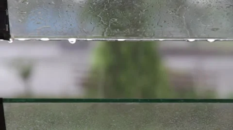 Raindrops in the Indonesian Jungle Stock Footage 32284312